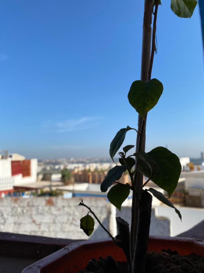 House Albahara Oudayas Apartment Rabat Ngoại thất bức ảnh